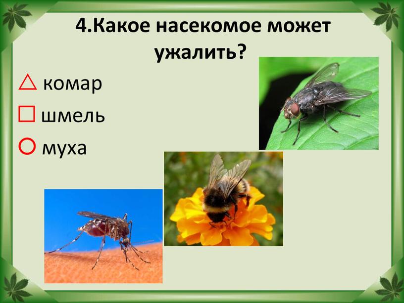 Какое насекомое может ужалить?  комар  шмель  муха