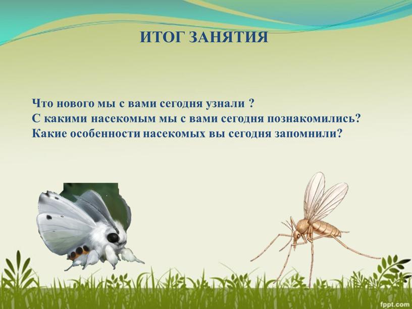 ИТОГ ЗАНЯТИЯ Что нового мы с вами сегодня узнали ?