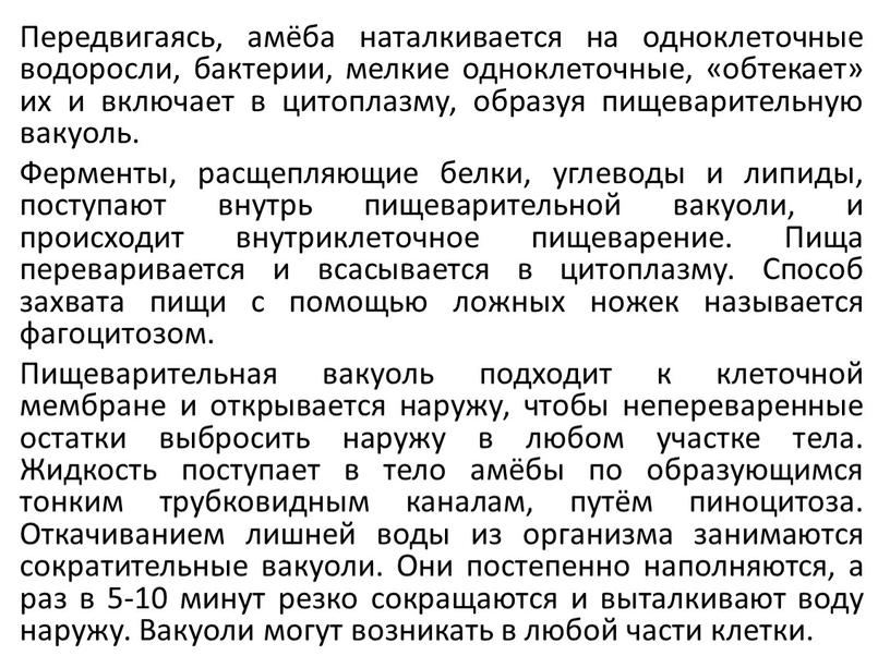 Передвигаясь, амёба наталкивается на одноклеточные водоросли, бактерии, мелкие одноклеточные, «обтекает» их и включает в цитоплазму, образуя пищеварительную вакуоль