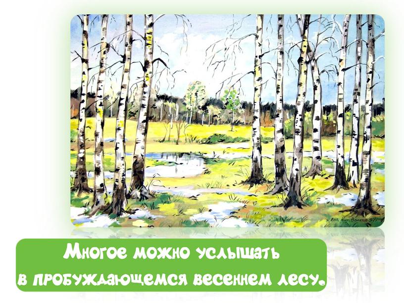 Соколов-Микитов "русский лес"