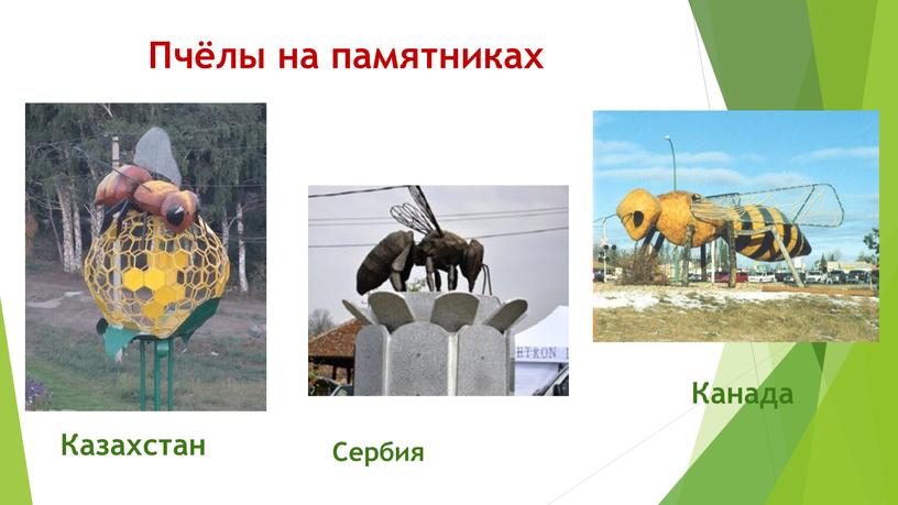 Пчёлы на памятниках Казахстан Канада