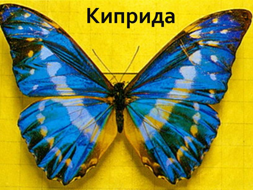 Киприда