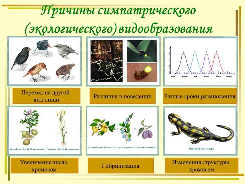 Причины симпатрического (экологического) видообразования