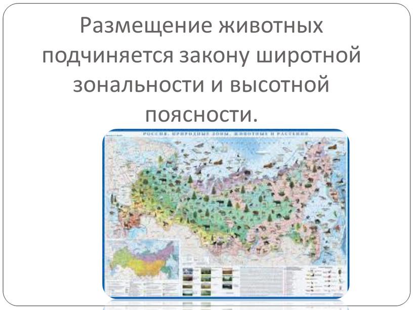 Размещение животных подчиняется закону широтной зональности и высотной поясности