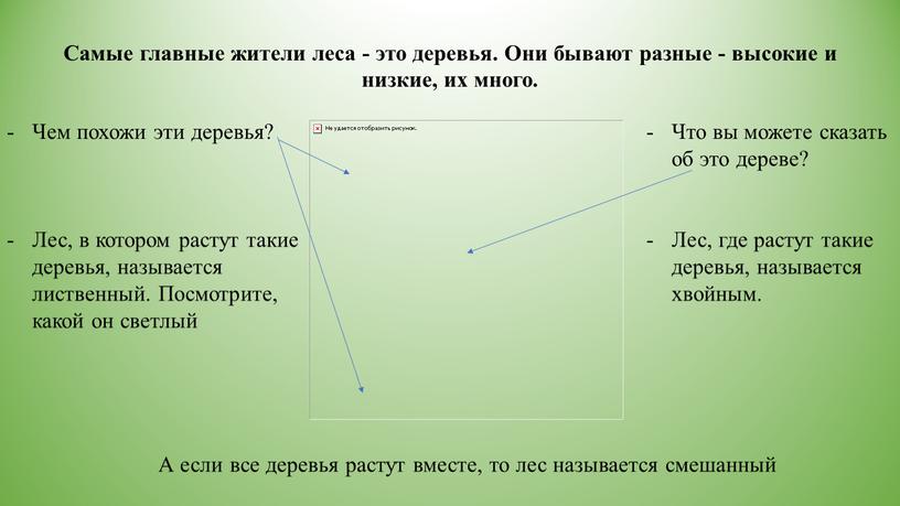 Чем похожи эти деревья? Лес, в котором растут такие деревья, называется лиственный