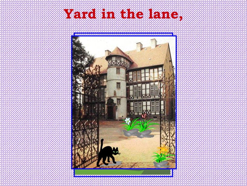Yard in the lane,