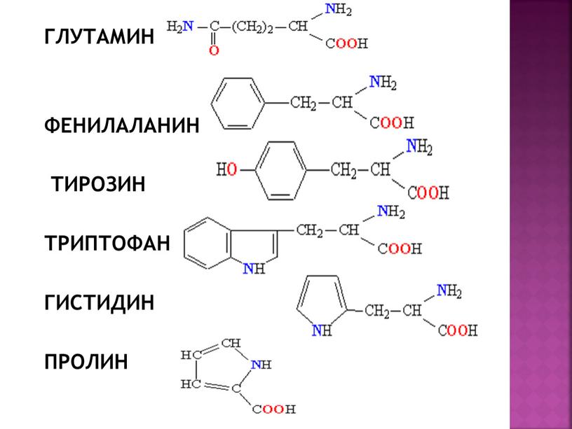 ГЛУТАМИН ФЕНИЛАЛАНИН ТИРОЗИН