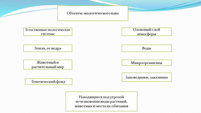 Объекты экологического пава Естественные экологические системы