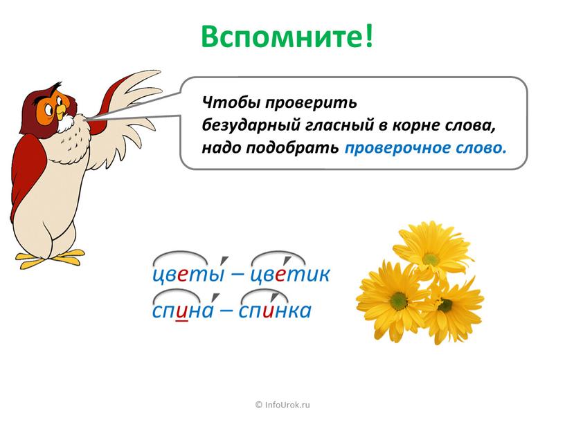 InfoUrok.ru Вспомните! цветы – цветик спина – спинка