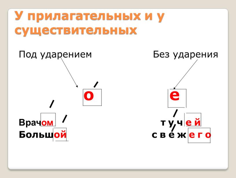 У прилагательных и у существительных