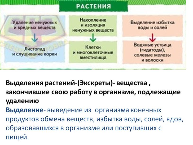 Выделения растений-(Экскреты)- вещества , закончившие свою работу в организме, подлежащие удалению