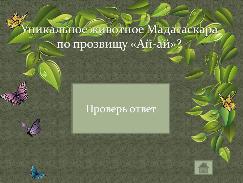 Уникальное животное Мадагаскара по прозвищу «Ай-ай»?