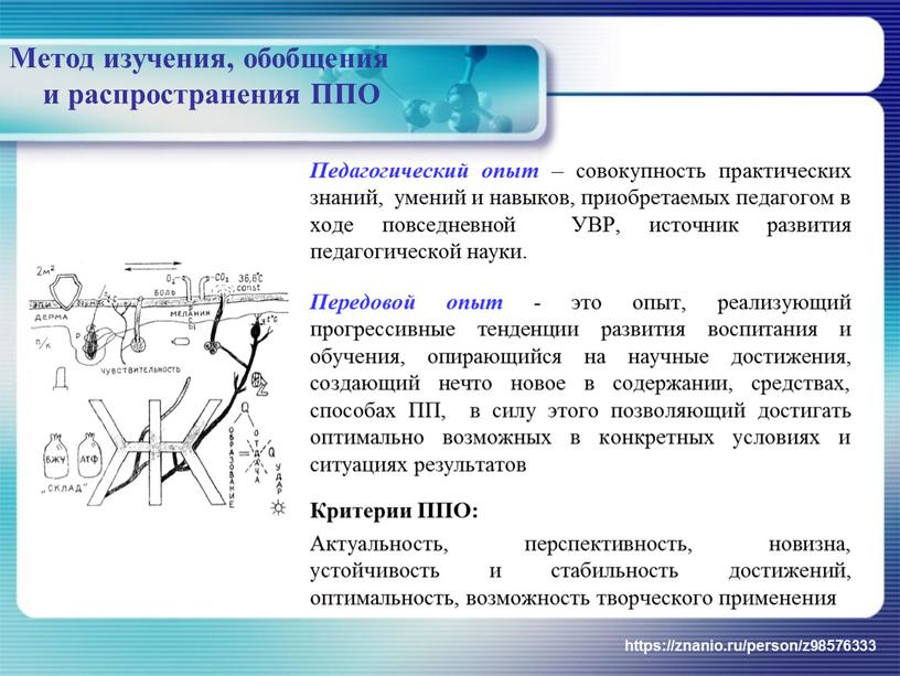 Метод изучения, обобщения и распространения