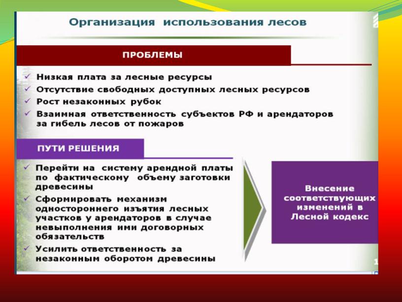 Организация государственного управления лесным хозяйством РФ.