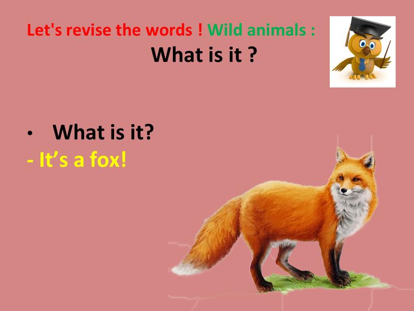 Let's revise the words ! Wild animals :