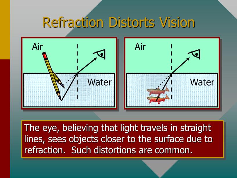 Refraction Distorts Vision The eye, believing that light travels in straight lines, sees objects closer to the surface due to refraction