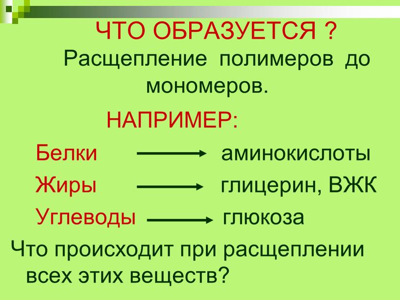 ЧТО ОБРАЗУЕТСЯ ? Расщепление полимеров до мономеров