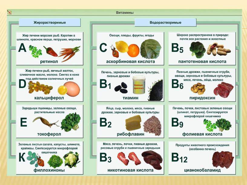 Содержание витаминов в продуктах питания