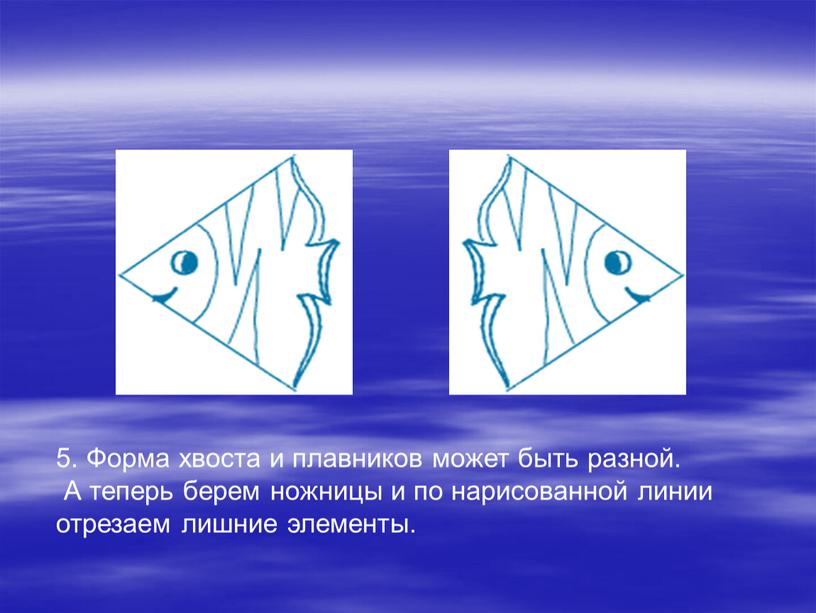 Форма хвоста и плавников может быть разной