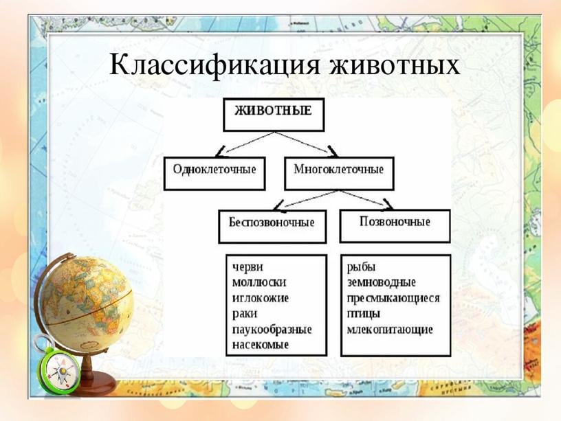 Методический материал по теме урока в 5 класса : "Многообразие животных"