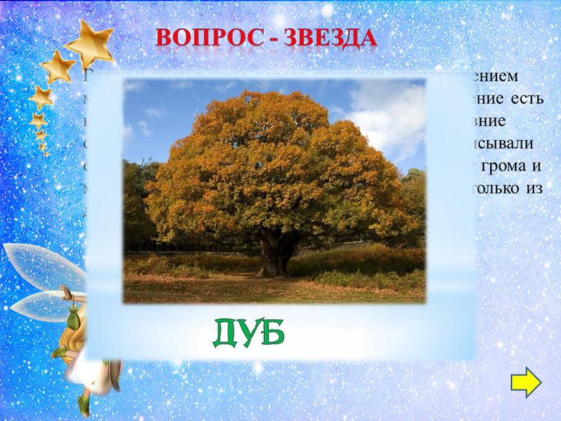 ВОПРОС - звезда Ветки и листья этого дерева являются олицетворением могущества, долголетия и здоровья
