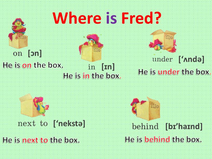 Where is Fred? He is on the box
