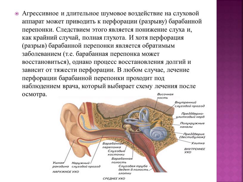 Агрессивное и длительное шумовое воздействие на слуховой аппарат может приводить к перфорации (разрыву) барабанной перепонки