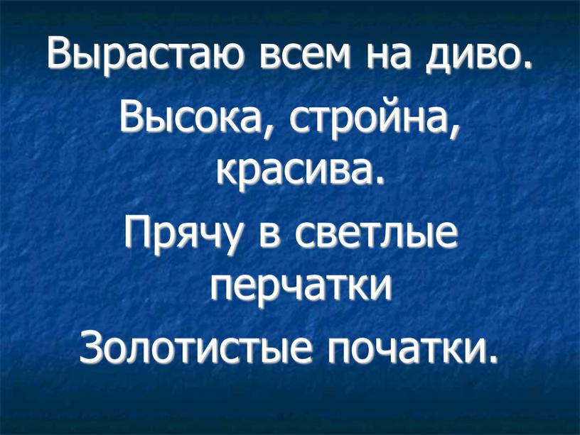 Вырастаю всем на диво. Высока, стройна, красива