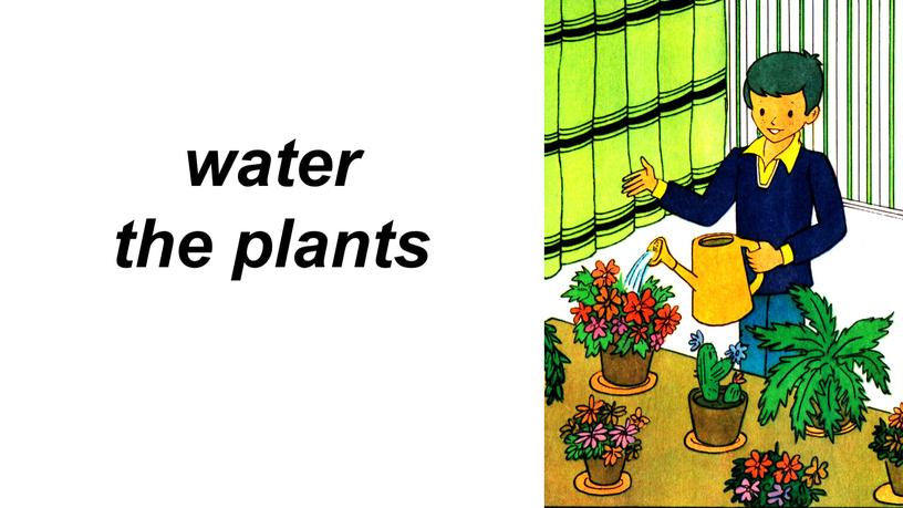 water the plants