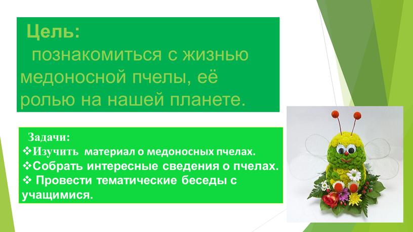 Цель: познакомиться с жизнью медоносной пчелы, её ролью на нашей планете