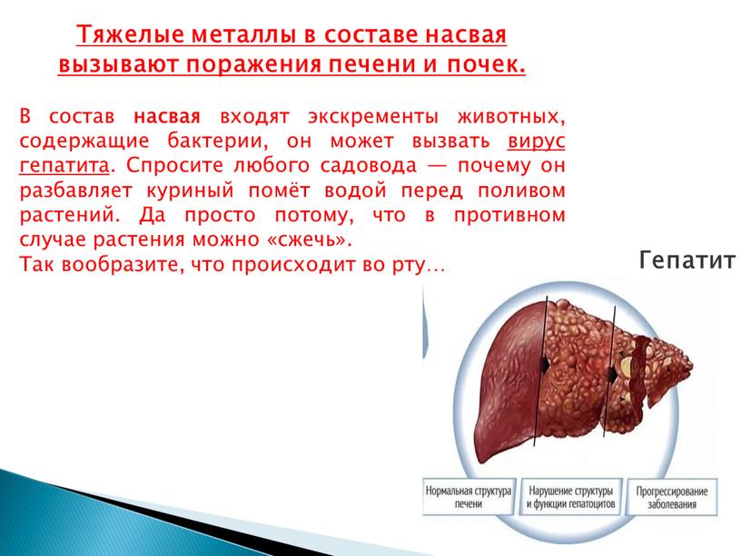 Тяжелые металлы в составе насвая вызывают поражения печени и почек