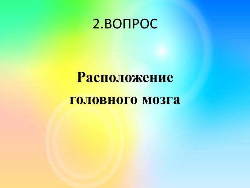 ВОПРОС Расположение головного мозга