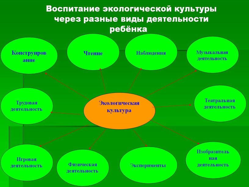 Презентация  дидактических игр по экологии