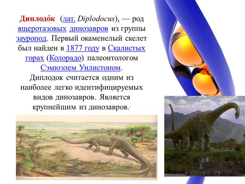 Диплодо́к (лат. Diplodocus ), — род ящеротазовых динозавров из группы зауропод