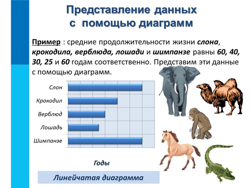 Пример : средние продолжительности жизни слона , крокодила, верблюда, лошади и шимпанзе равны 60, 40, 30, 25 и 60 годам соответственно