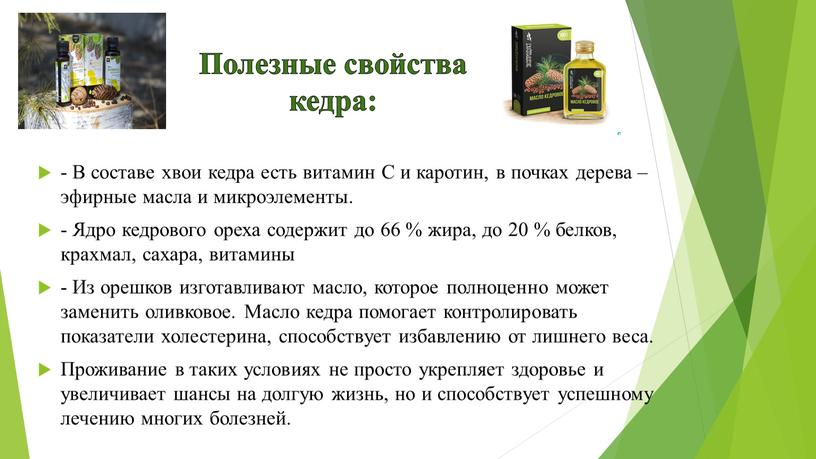 Полезные свойства кедра: - В составе хвои кедра есть витамин