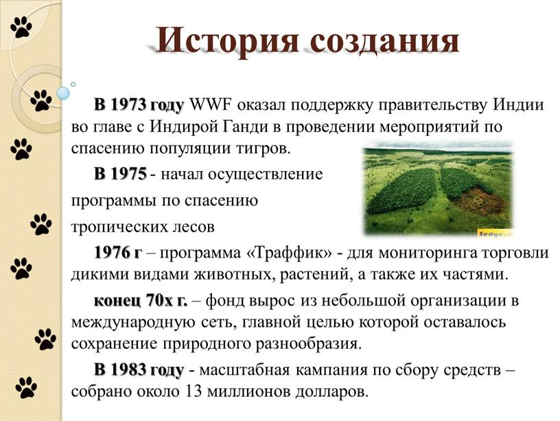 История создания В 1973 году WWF оказал поддержку правительству