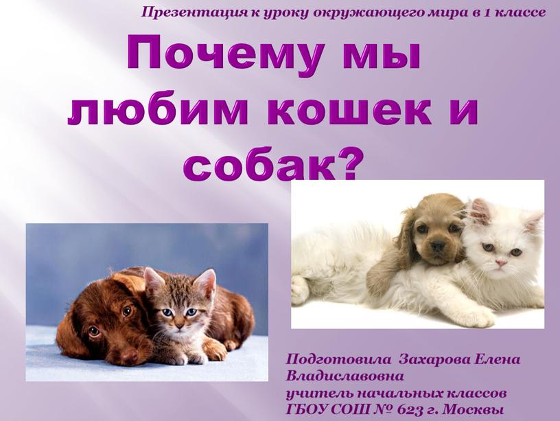 Почему мы любим кошек и собак?