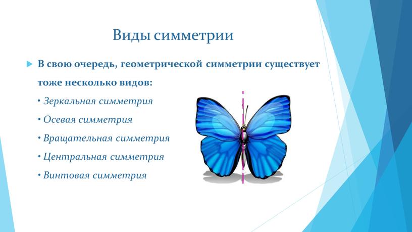 Виды симметрии В свою очередь, геометрической симметрии существует тоже несколько видов: •