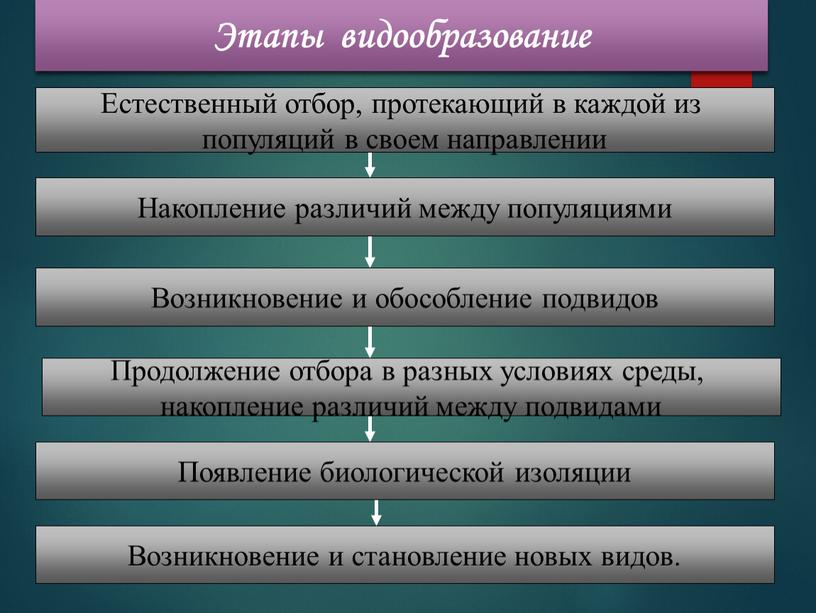 Естественный отбор, протекающий в каждой из популяций в своем направлении