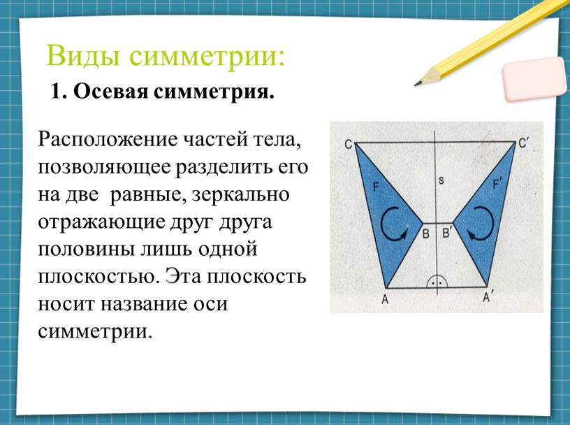 Виды симметрии: 1. Осевая симметрия