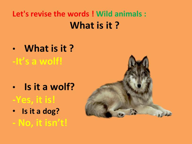 Let's revise the words ! Wild animals :