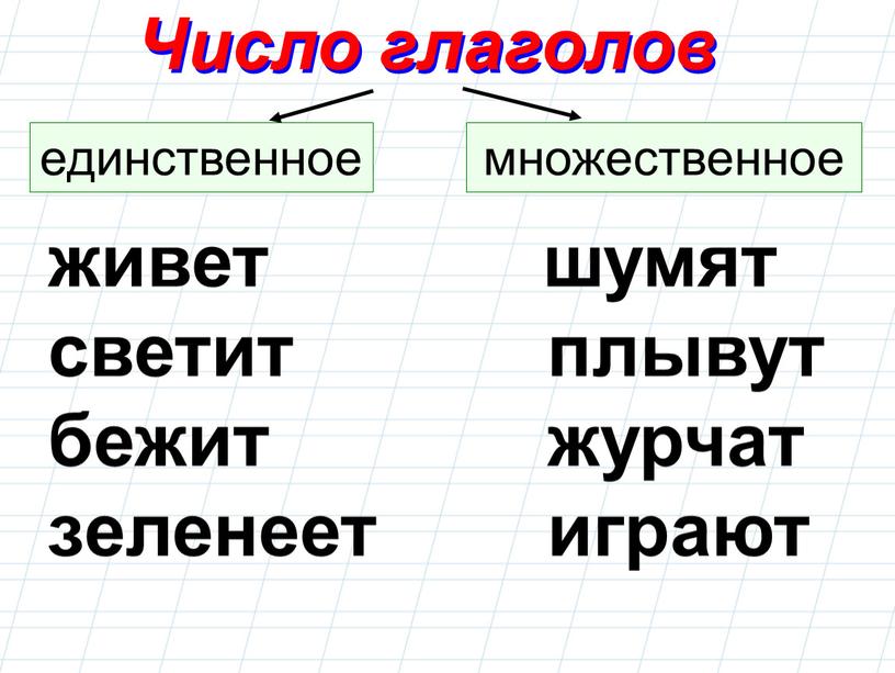 Число глаголов единственное множественное живет светит бежит зеленеет шумят плывут журчат играют