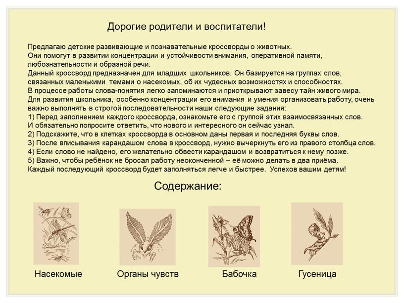 Насекомые Органы чувств Бабочка