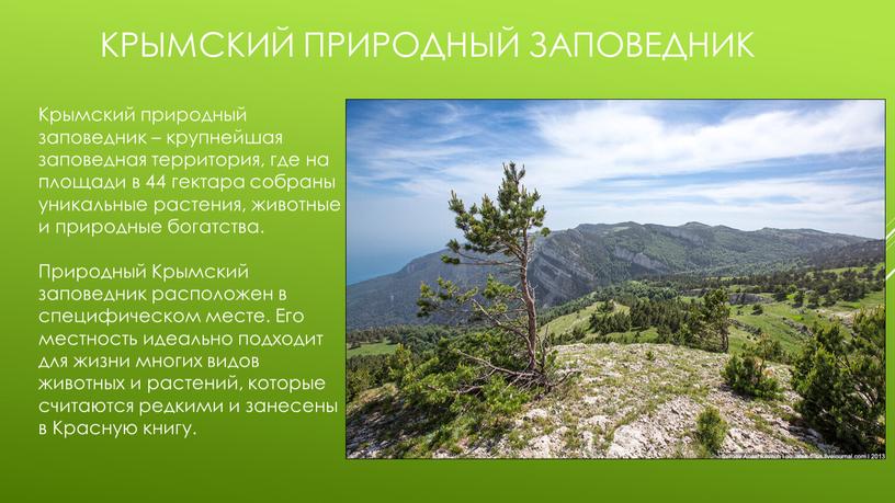 Крымский природный заповедник Крымский природный заповедник – крупнейшая заповедная территория, где на площади в 44 гектара собраны уникальные растения, животные и природные богатства