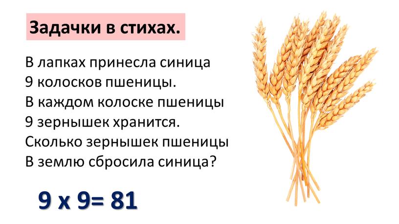 В лапках принесла синица 9 колосков пшеницы