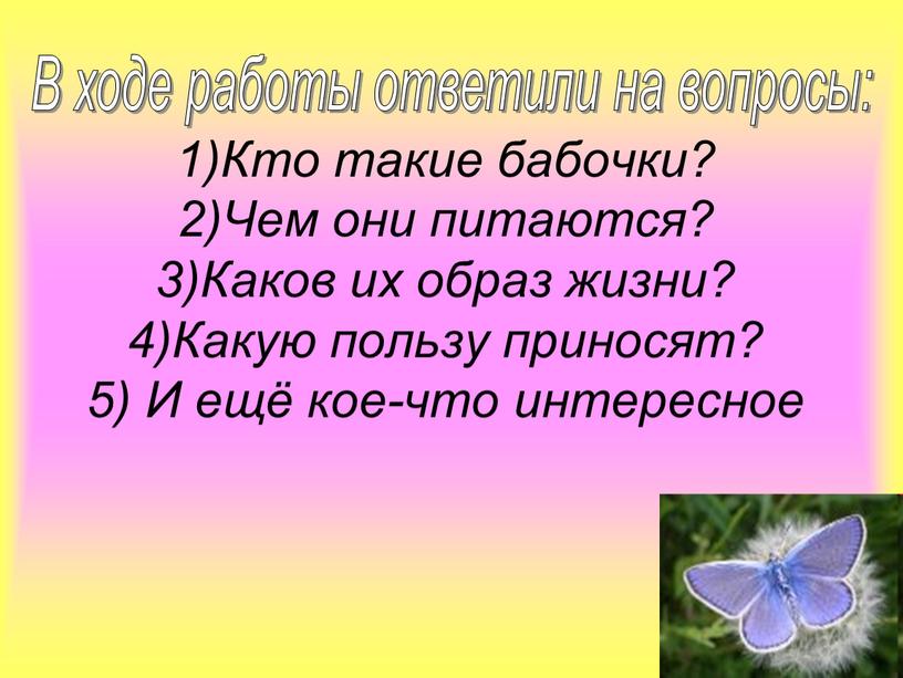 В ходе работы ответили на вопросы: 1)Кто такие бабочки? 2)Чем они питаются? 3)Каков их образ жизни? 4)Какую пользу приносят? 5)