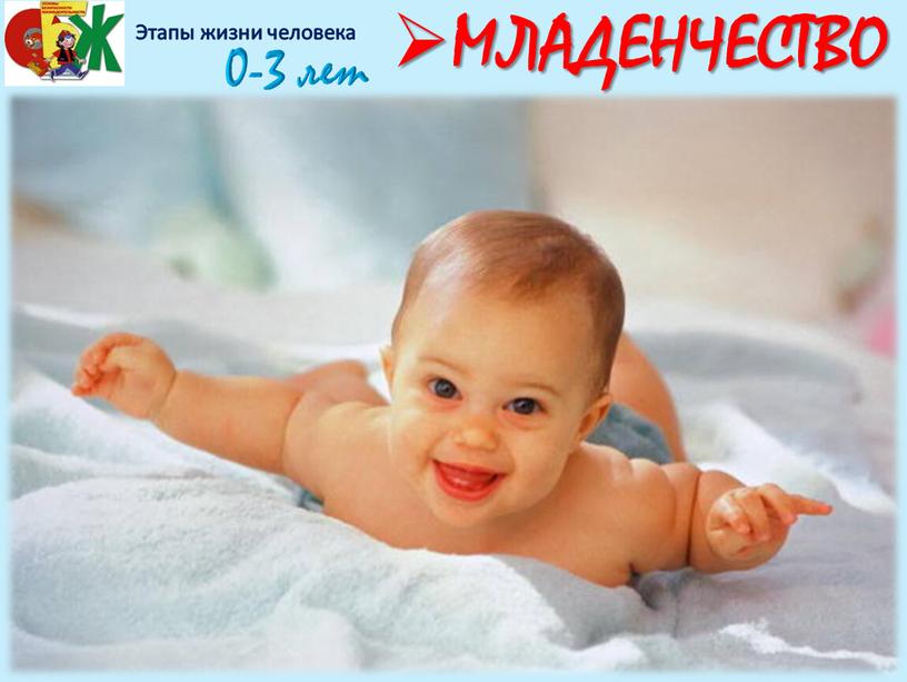 Этапы жизни человека МЛАДЕНЧЕСТВО 0-3 лет