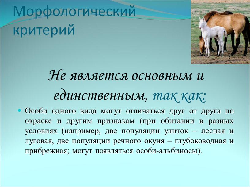 Морфологический критерий Не является основным и единственным, так как: