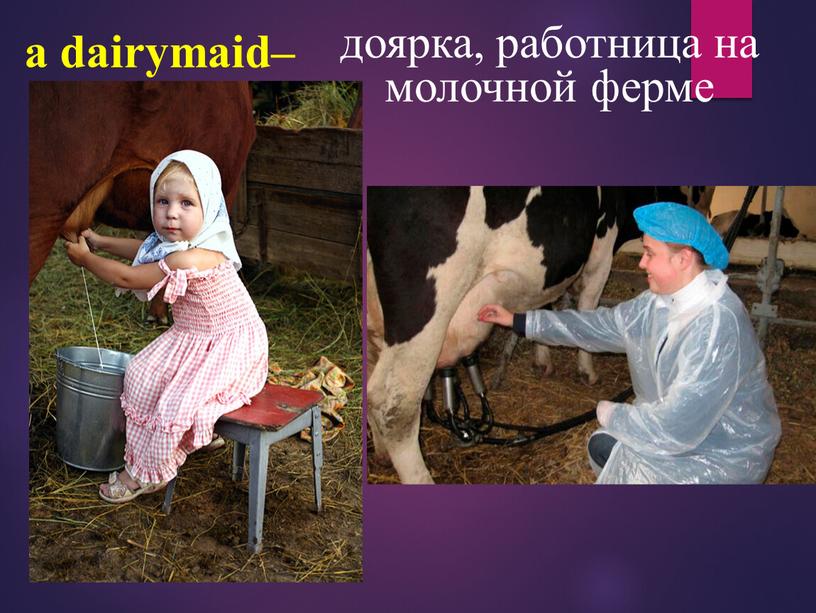 a dairymaid– доярка, работница на молочной ферме